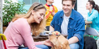 Autoriser les chiens sur les terrasses des restaurants