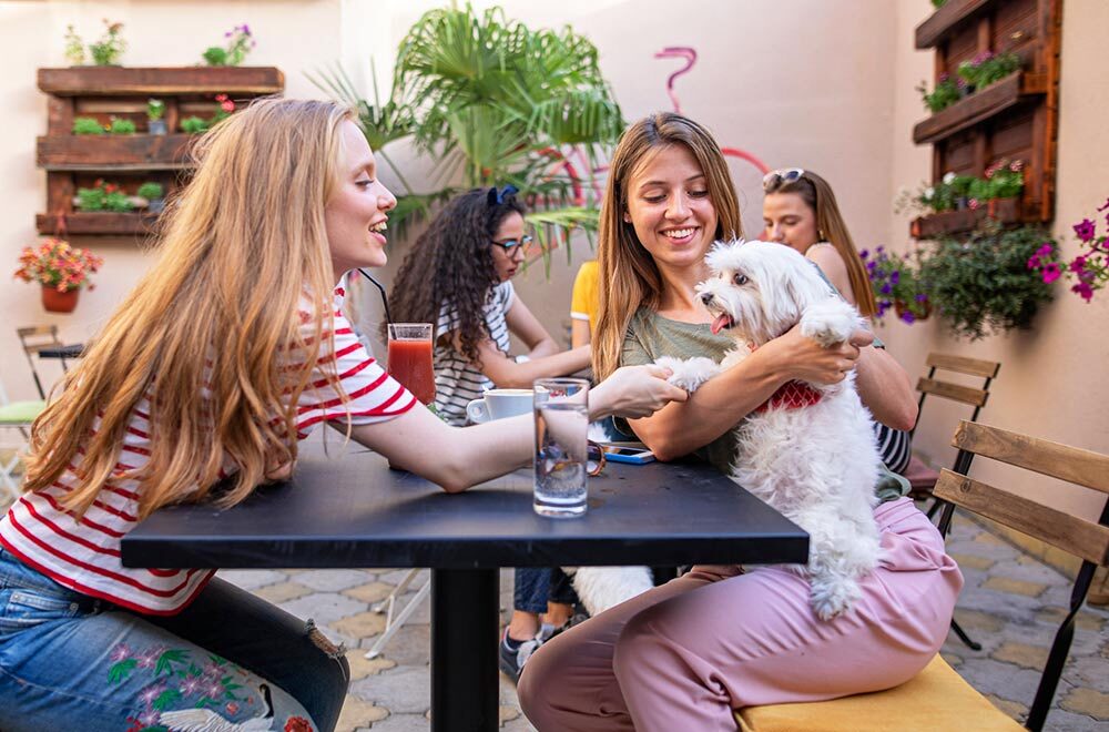 welcomefourleggedfriends