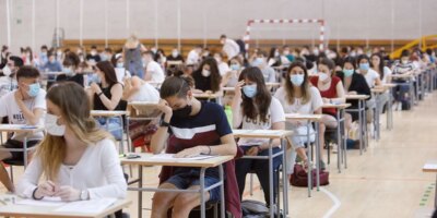 La médecine et l'ingénierie sont les métiers les plus fréquentés et le tourisme et les beaux-arts le moins