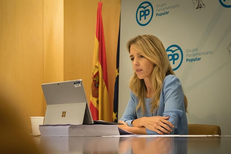 Cayetana Álvarez de Toledo, en rueda de prensa telemática.