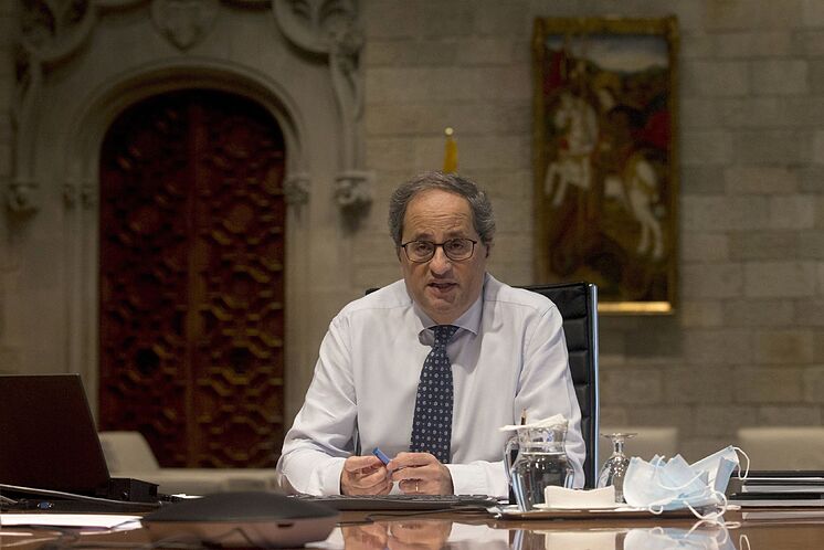 El presidente de la Generalitat, Quim Torra, en el Palau.