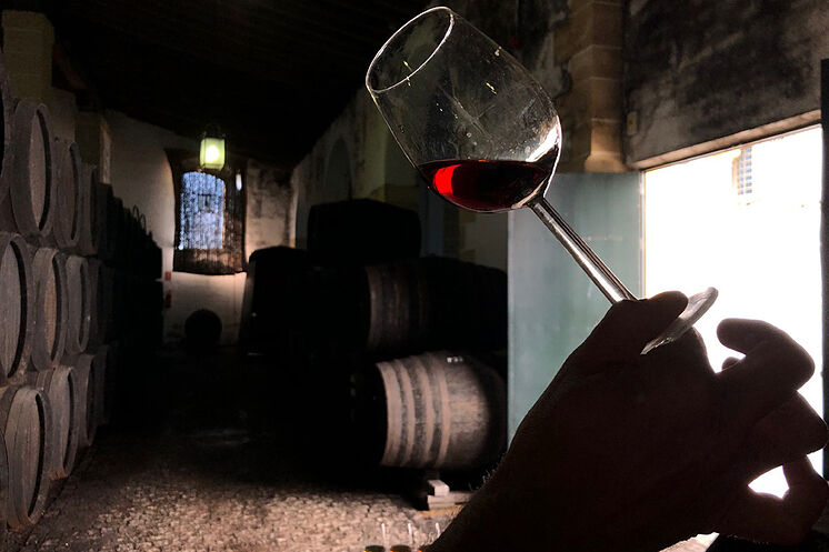 : Una cata de vinos olorosos en las bodegas Tradici
