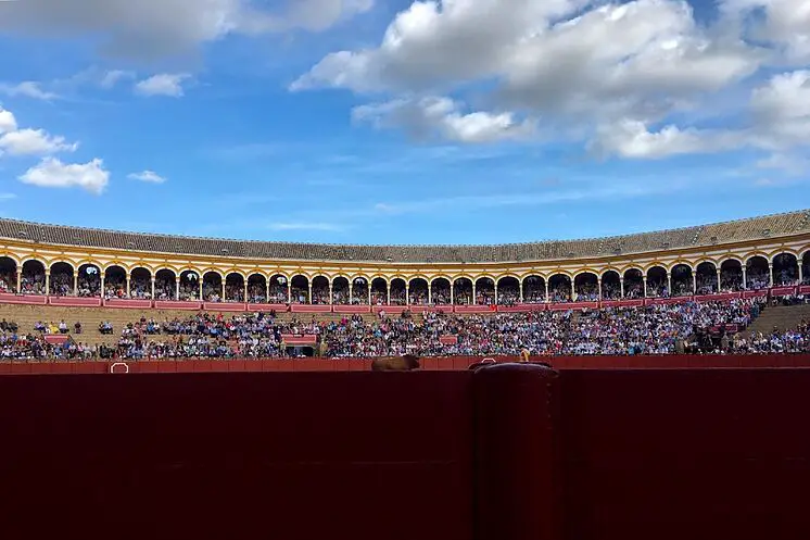 La plaza de toros de La Maestranza de Sevilla, en una imagen de la...