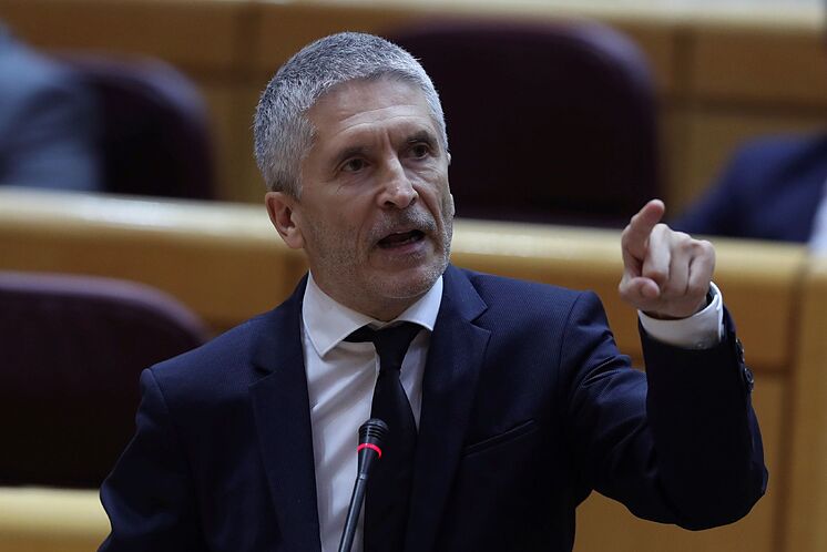 El ministro del Interior, Fernando Grande-Marlaska, durante la sesi