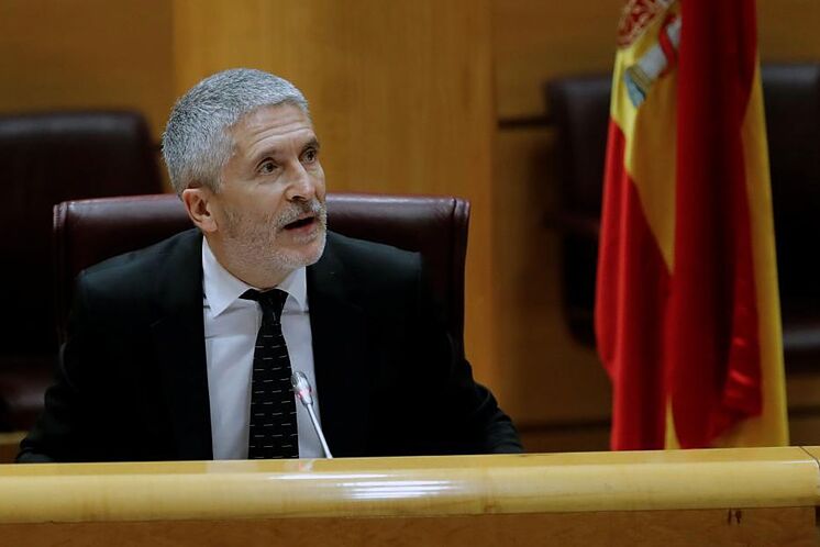 Fernando Grande-Marlaska, en la Comisi