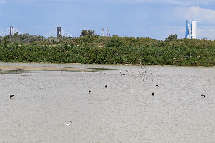 Vaciadero en la zona de la esclusa del r