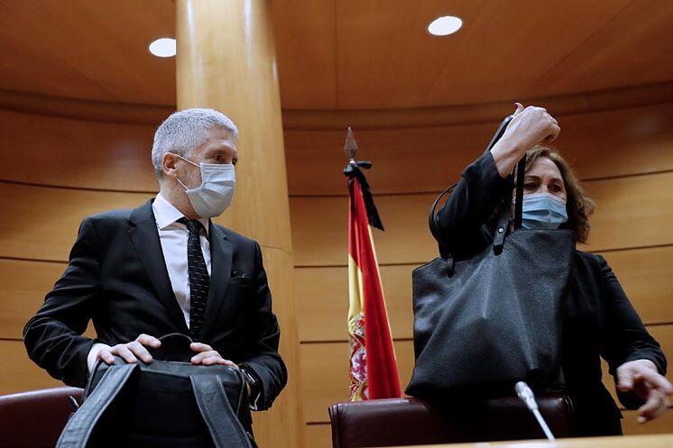 El ministro del Interior, Fernando Grande-Marlaska, la semana pasada...