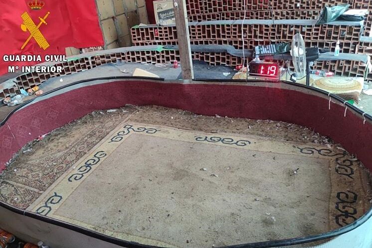 Lugar donde se celebraban las peleas de gallos.