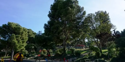 Ils enquêtent sur le viol d'une jeune femme handicapée dans un parc de Saragosse