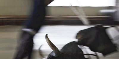 La vente du Batn, une école qui relance les taureaux à Madrid après la "suffocation" de Manuela Carmena