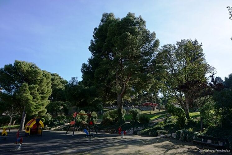 Parc Castillo Palomar (Saragosse), où les événements se sont produits