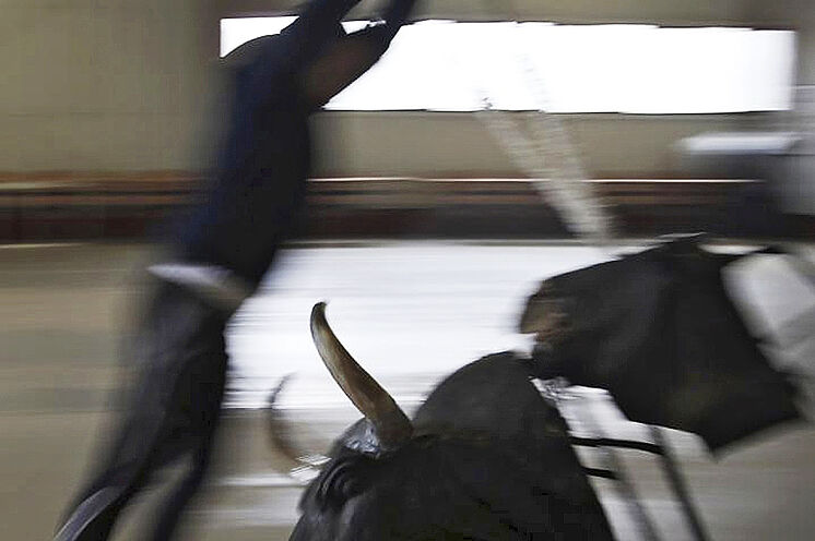 Un élève de l'école de tauromachie Marcial Lalanda, lors de son ...