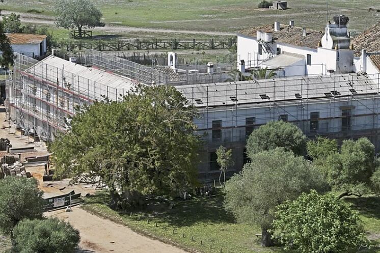 Vue générale du Do Palace