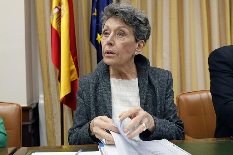 L'administrateur provisoire 