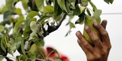 Arrêté le patron d'un journalier sans papiers mort abandonné à Lorca après avoir subi un coup de chaleur
