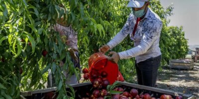 Javier Lambn blâme les intérimaires pour le taux élevé d'infections à Aragn