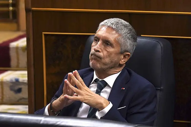 Le ministre de l'Intérieur Fernando Grande Marlaska au Congrès