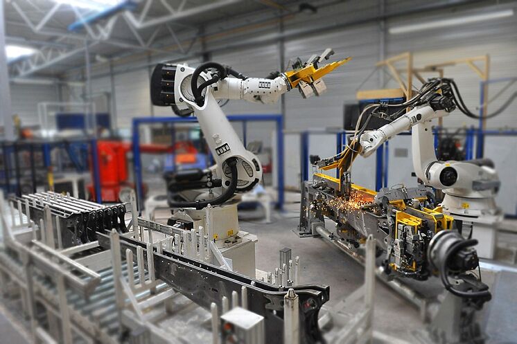 Image d'une des plantes du groupe.