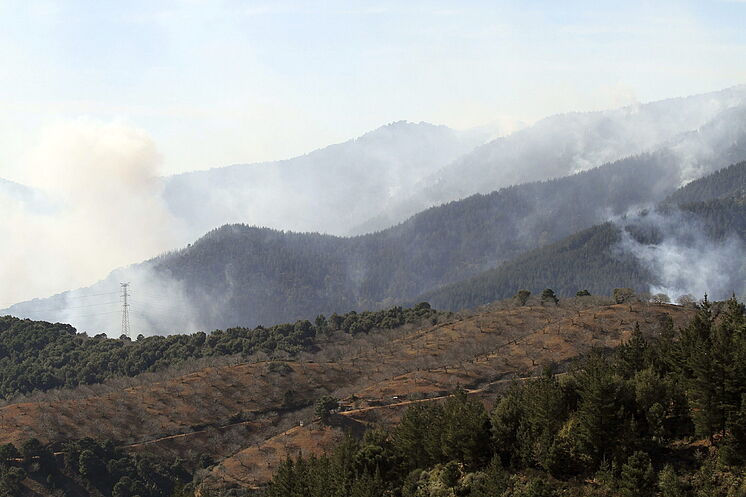 Incendie dans la commune de Pujerra, dans le Serran