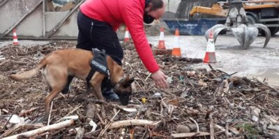 L&rsquo;Ertzaintza recherche maintenant plus de restes humains dans une décharge qui stocke les déchets des plages de Getxo