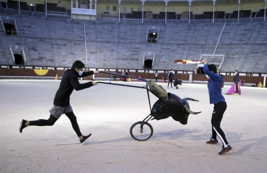 Paire de drapeaux à la voiture