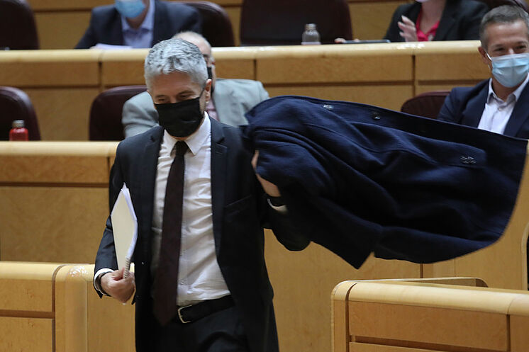 Le ministre de l'Intérieur, Fernando Grande-Marlaska, en séance