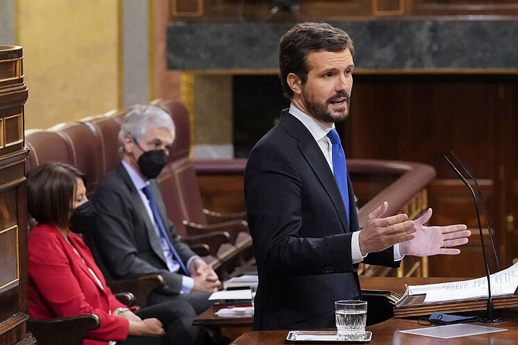 Le président du PP, Pablo Casado, c'est mon