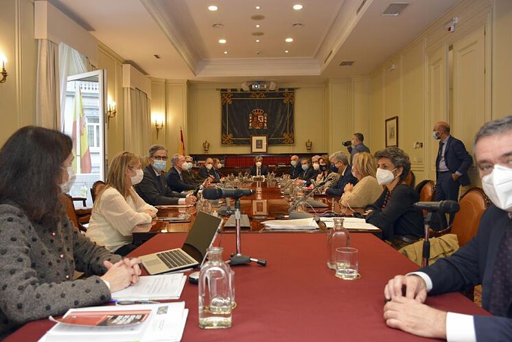 Session plénière du Conseil général de la magistrature.