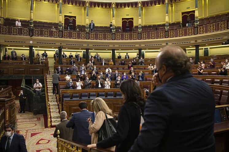 Applaudissements au banc socialiste après l'approbation
