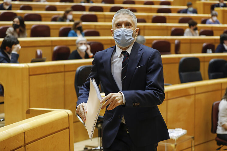 Le ministre de l'Intérieur, Grande-Marlaska, en réunion