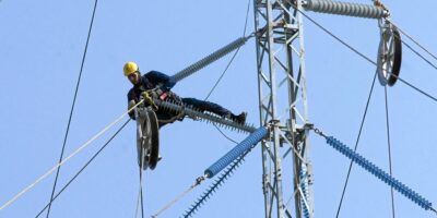 Le tribunal enquête sur des dirigeants d&rsquo;Endesa pour l&rsquo;électrocution de centaines d&rsquo;oiseaux dans les lignes électriques