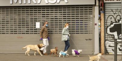 Qui attrape le chien?  La loi établira la garde partagée en cas de divorce