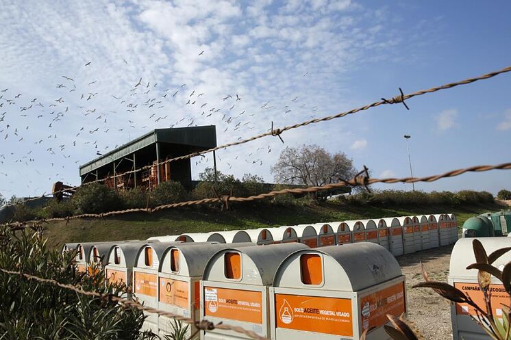 Des mouettes survolent la supposée usine de recyclage d'Estepa.