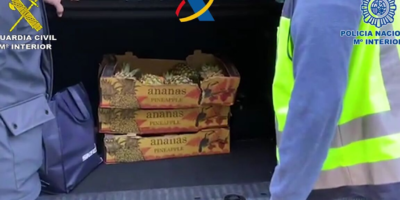 Ils démantèlent une organisation criminelle qui a introduit de la cocaïne en Espagne cachée dans des pias « preadas »