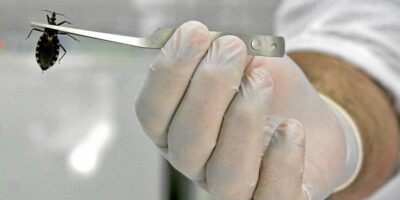 Ils indemnisent une femme de ménage de 8.000 euros pour une infestation de punaises de lit dans sa maison depuis l&rsquo;hôtel où elle travaillait