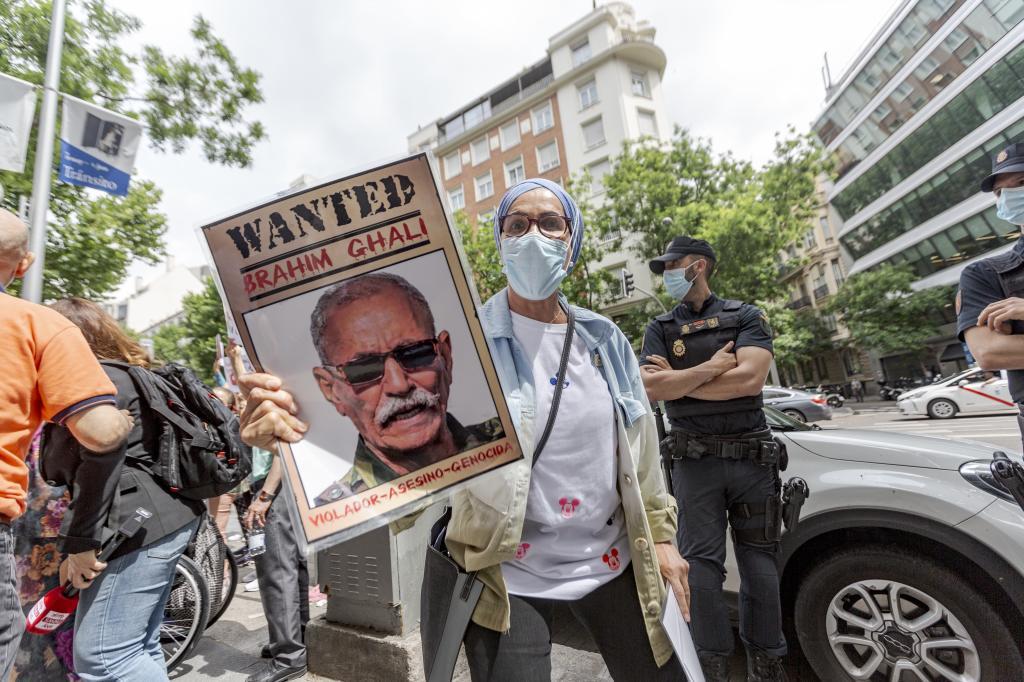 Un groupe de manifestants se rassemble devant la Haute Cour nationale contre Brahim Ghali.