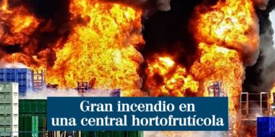 Un incendie spectaculaire dans une usine de fruits et légumes provoque l&rsquo;évacuation urgente de 300 travailleurs et la perte de plus de 5 millions de kilos de fruits