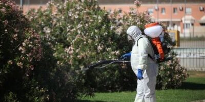 La recherche de l&rsquo;origine de la dernière épidémie du virus du Nil en Andalousie