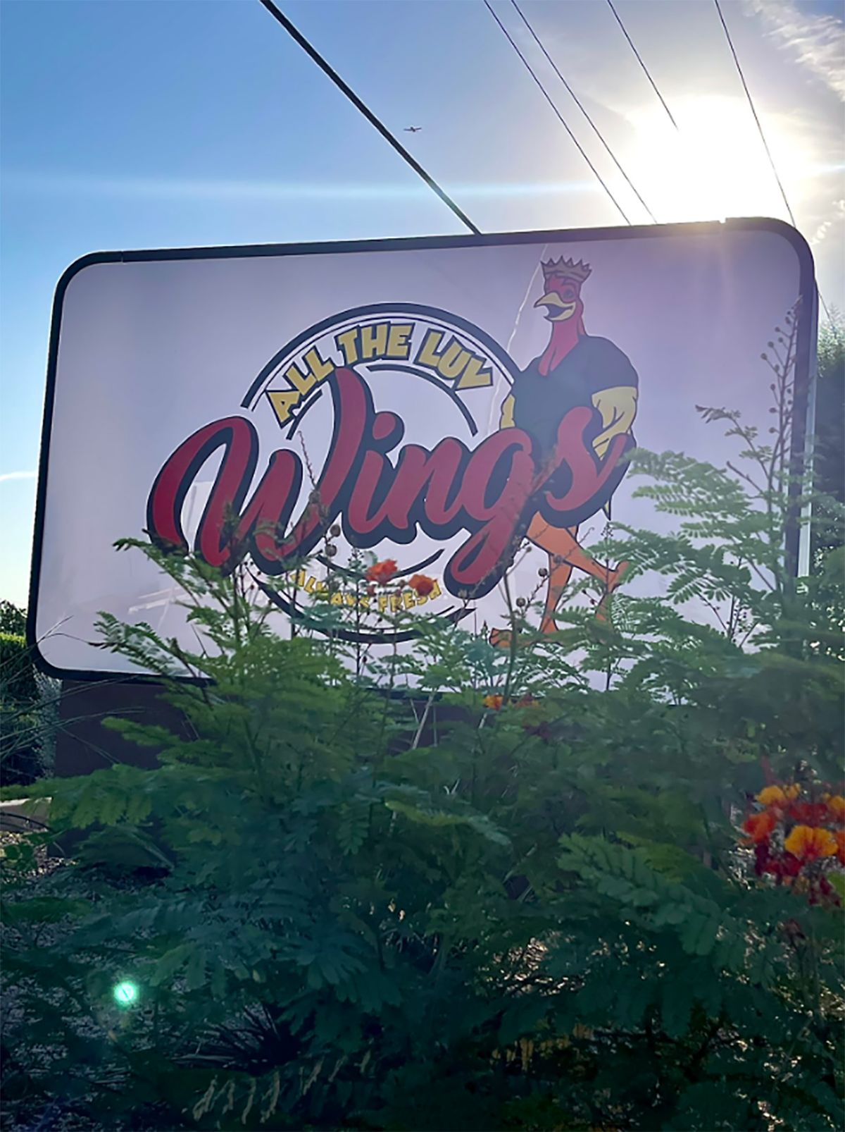 ATL Wings ajoute quatre restaurants de la région de Phoenix et plus encore dans le rapport d'information hebdomadaire sur les restaurants de What Now Media Group avant l'ouverture ATL Wings ajoute quatre restaurants de la région de Phoenix et plus encore dans le rapport d'information hebdomadaire sur les restaurants de What Now Media Group avant l'ouverture