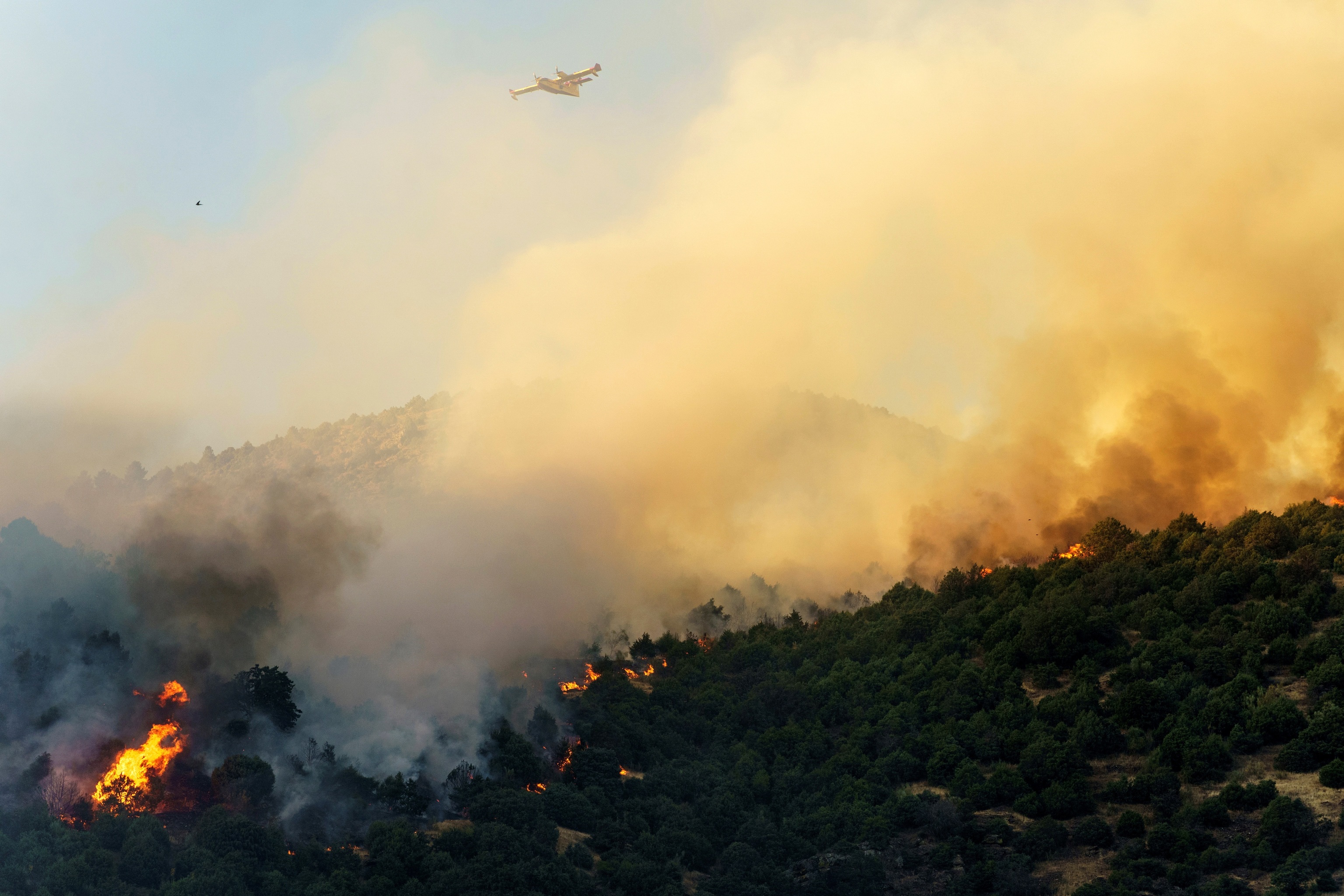 Des moyens aériens et terrestres participent ce vendredi aux travaux d'extinction d'un incendie déclaré au terme d'El Tiemblo à Ávila, près de la Communauté de Madrid et de la Réserve Naturelle de Valle de Iruelas, dont les flammes ont obligé à couper la N-403 (Ávila -Toledo), avec un risque possible pour la population et les biens, pour lequel a été déclaré le niveau 2. EFE / Raúl Sanchidrián