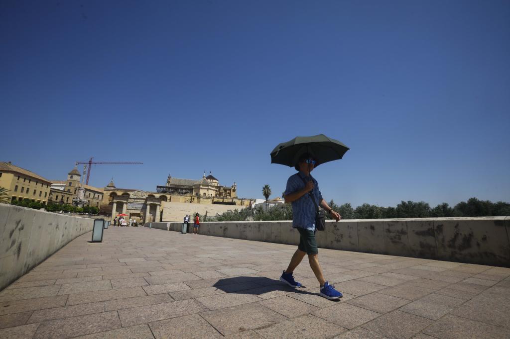 Un homme s'abrite du soleil sous un parapluie en C