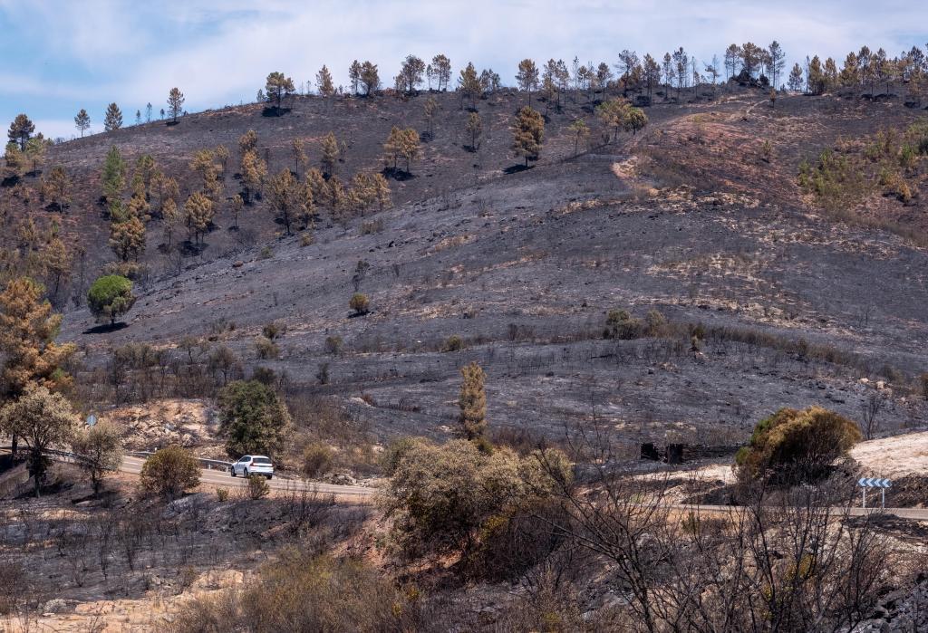 Mont brûlé après l'incendie d'août 2020 à Zalamea la Real (Huelva), dans la région de l'And