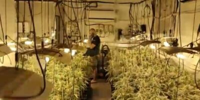 Un autre policier national interpellé dans la macro-opération anti-drogue à Mrida : il y a déjà six agents arrêtés