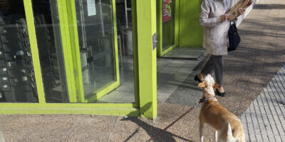 Les juges refuseront la garde conjointe des enfants au parent qui abuse de l&rsquo;animal comme une forme de coercition.
