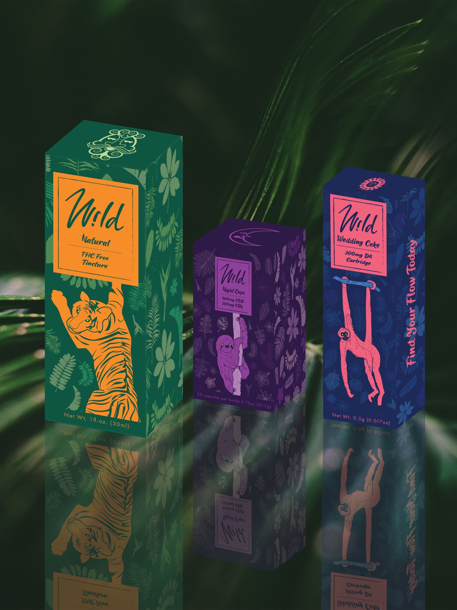 Grinders Coffee Bar subit une refonte complète pour rouvrir en tant que tout nouveau concept - Wild Grinders Coffee Bar subit une refonte complète pour rouvrir en tant que tout nouveau concept - Wild