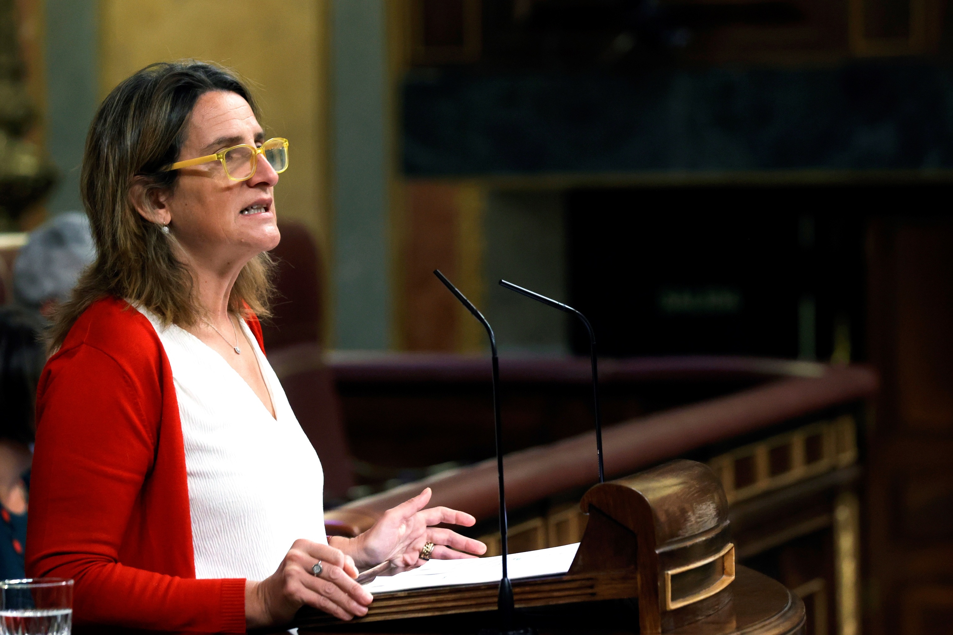Le troisième vice-président et ministre de Transici
