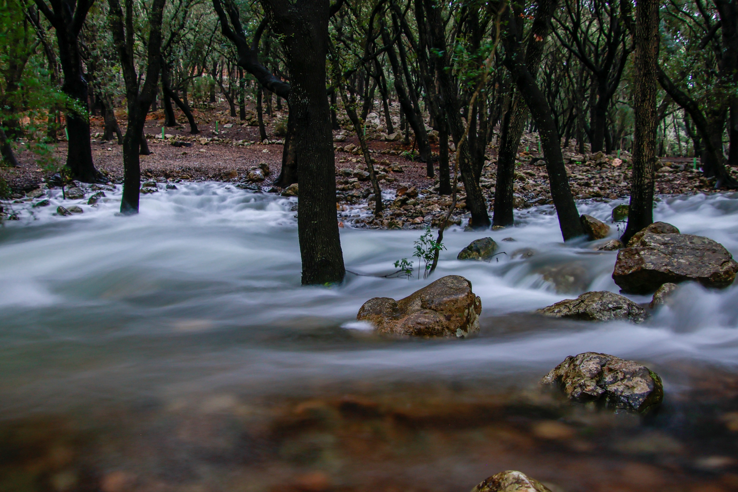 Les fonts Ufanes dans la municipalité de Campanet, près de l'ermitage de Sant Miquel à Majorque, ce mi