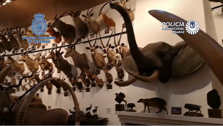 Quelques-unes des nombreuses pièces trouvées à la ferme.
