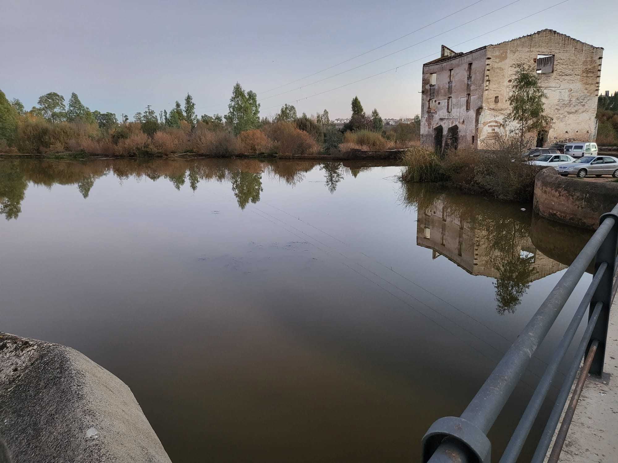 La zone El Pico du fleuve Guadiana, où les recherches ont commencé ce matin.