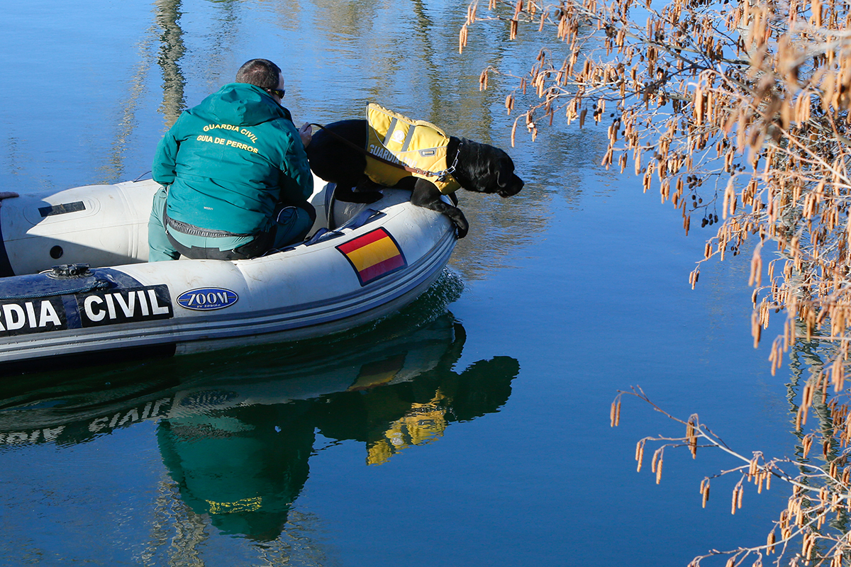 Un chien cherche Esther dans la rivière.